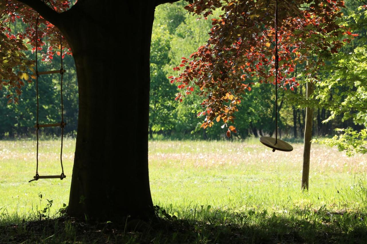 Vakantiewoning Heidebos In Het Nationaal Park Hoge Kempen Opglabbeek Extérieur photo