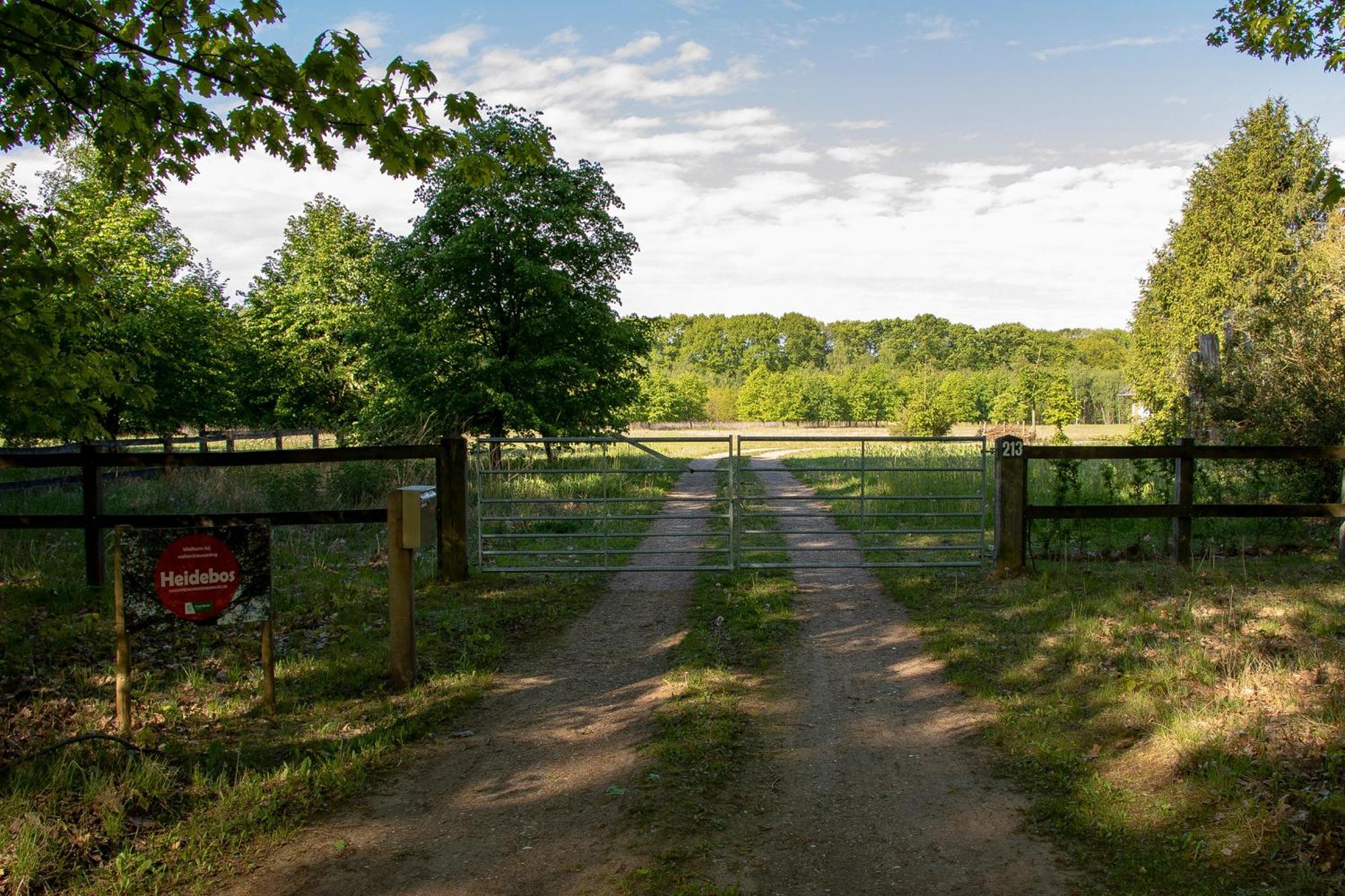 Vakantiewoning Heidebos In Het Nationaal Park Hoge Kempen Opglabbeek Extérieur photo