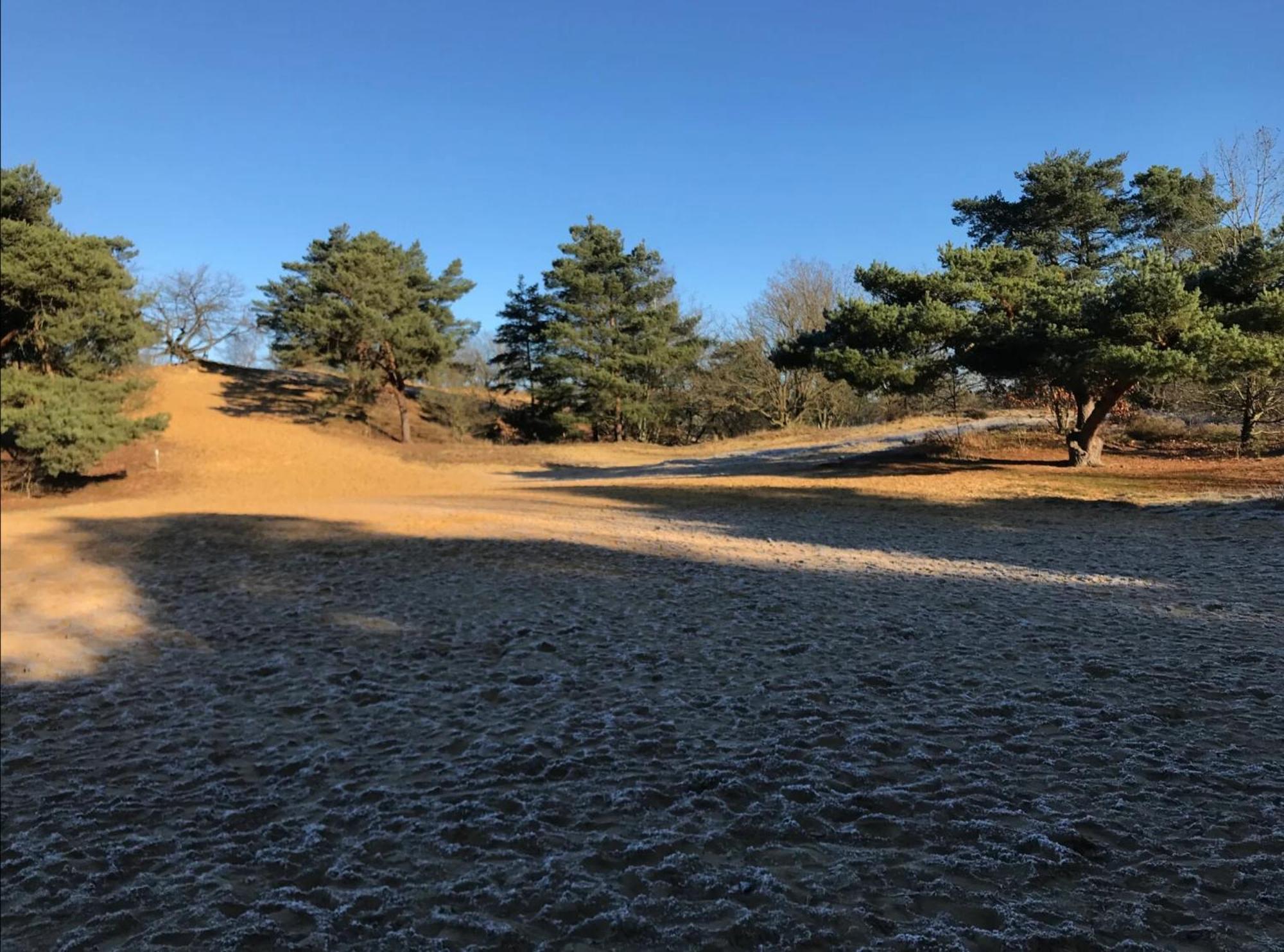 Vakantiewoning Heidebos In Het Nationaal Park Hoge Kempen Opglabbeek Extérieur photo