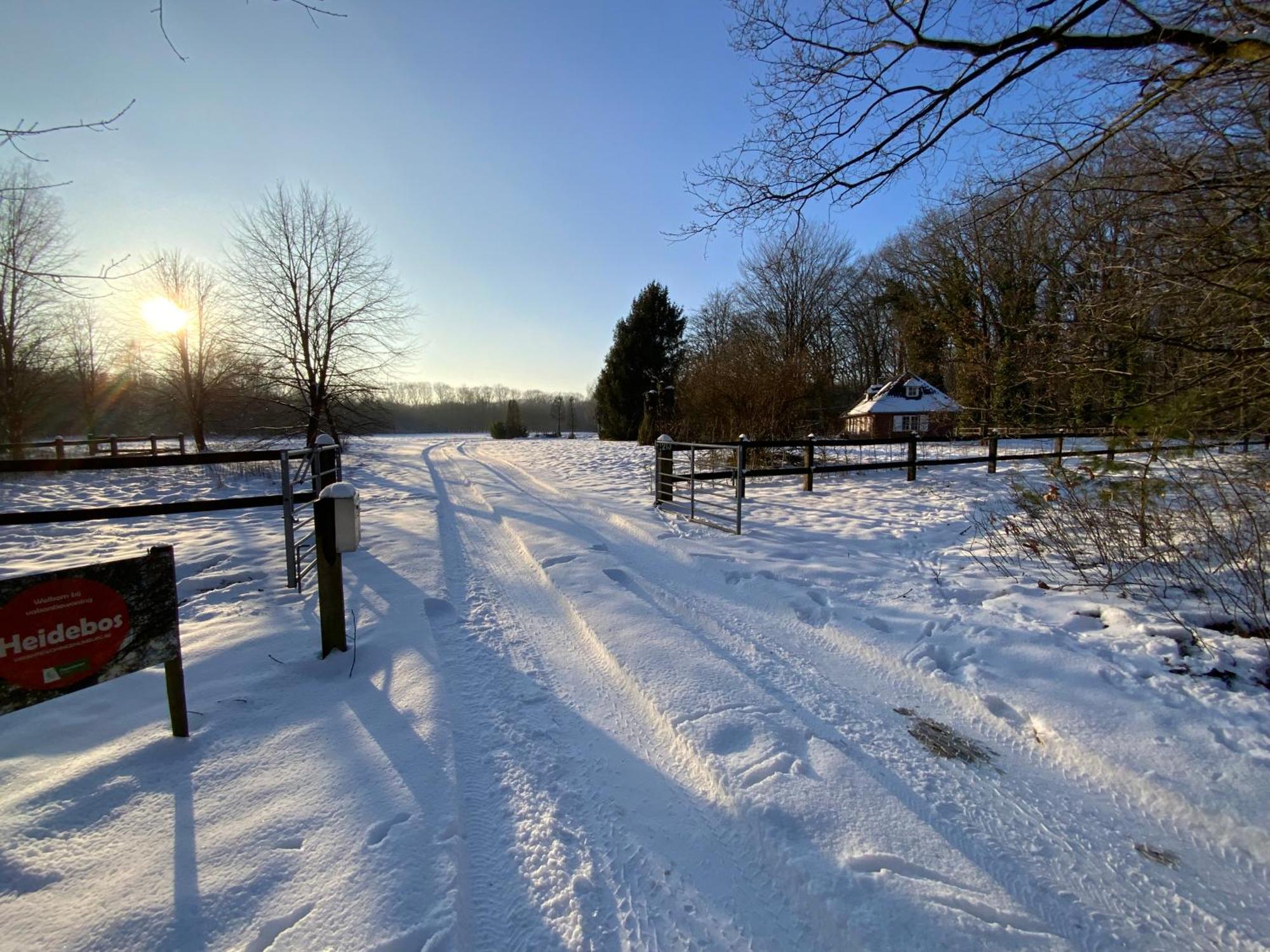 Vakantiewoning Heidebos In Het Nationaal Park Hoge Kempen Opglabbeek Extérieur photo