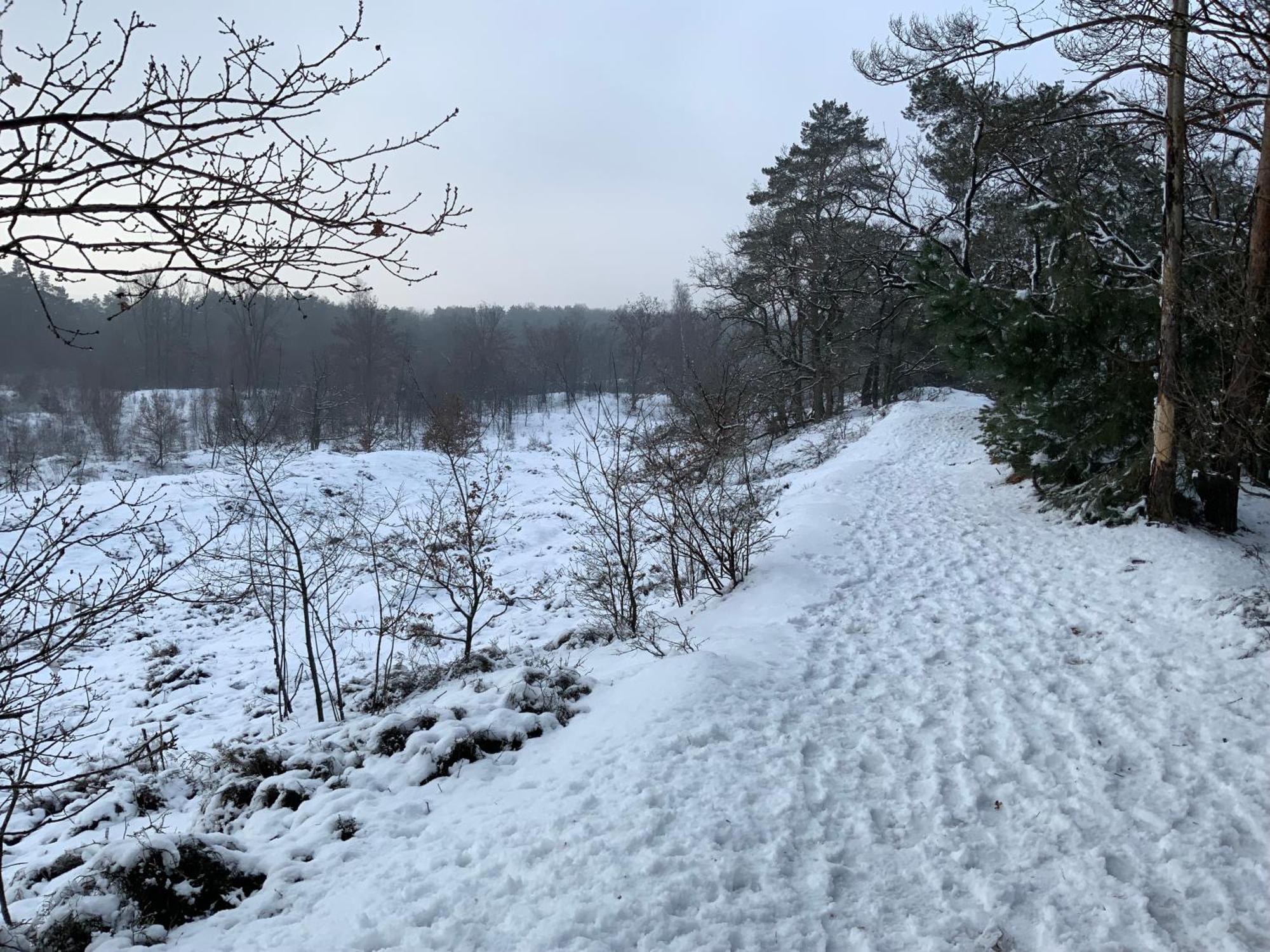 Vakantiewoning Heidebos In Het Nationaal Park Hoge Kempen Opglabbeek Extérieur photo